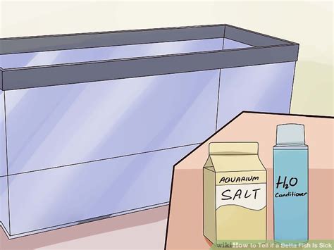 My betta fish has been laying at the bottom of the tank for a while now, and i have no idea why. 6 Ways to Tell if a Betta Fish Is Sick - wikiHow