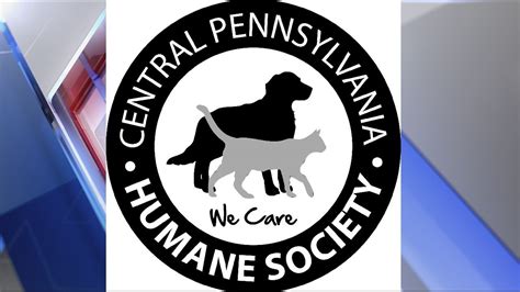 Central Pa Humane Society 37 Dogs Available To Be Adopted