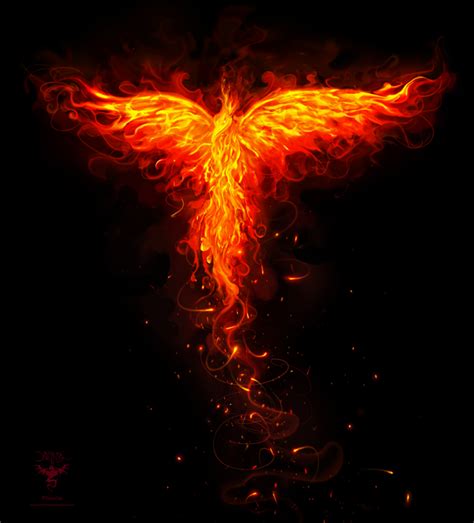 Phoenix Orange Flames Ver By Amorphisss On Deviantart