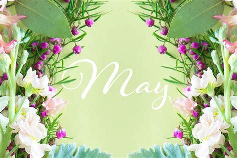 He may come or he may not — может быть, он придёт, а может быть. May wallpaper - SF Wallpaper