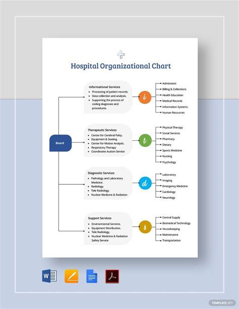 Private Hospital Organizational Chart Template Download In Word