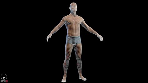 Artstation Average Male Body Game Assets