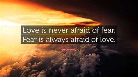 Sri Chinmoy Quote “love Is Never Afraid Of Fear Fear Is Always Afraid