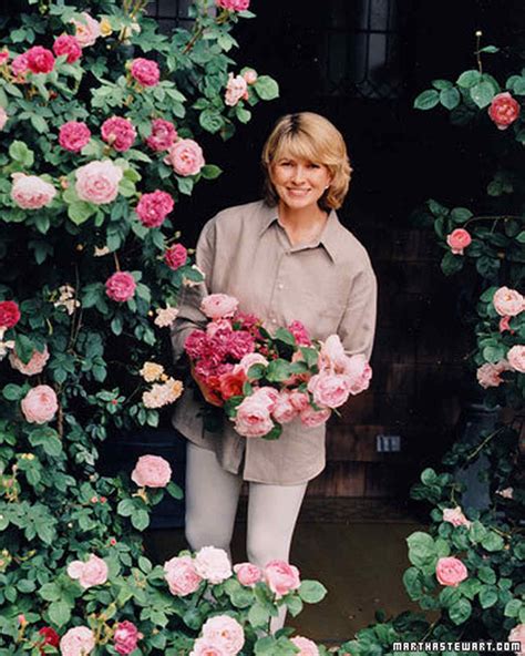 The Secrets Of Marthas Rose Garden Martha Stewart