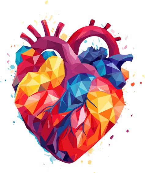 Mais De 100 Ilustrações Gratuitas De Anatomia Coração E Coração Pixabay
