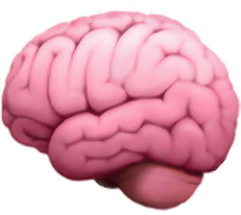 Cerebro Sticker Brain Emoji Png 1024x1024 Png Download