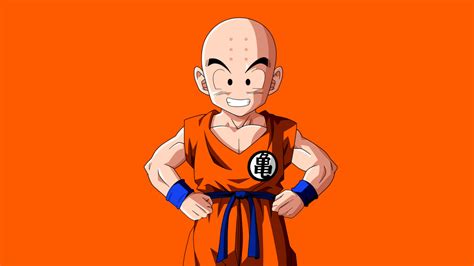 How Old Is Krillin Dragon Ball Guru