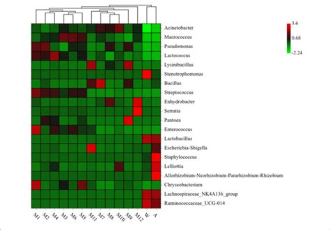 Heatmap Analysis For Bacteria Genera In Different Samples See Figure Download Scientific