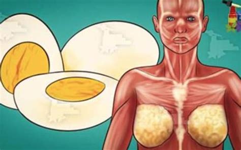 Things That Will Happen To Your Body After Eating Two Eggs A Day Home Beauty Tips