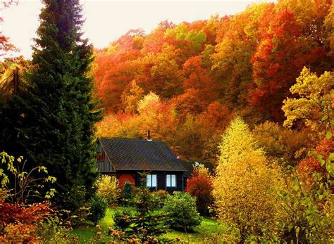 Fall Cabin Scenery Landscape House In The Woods