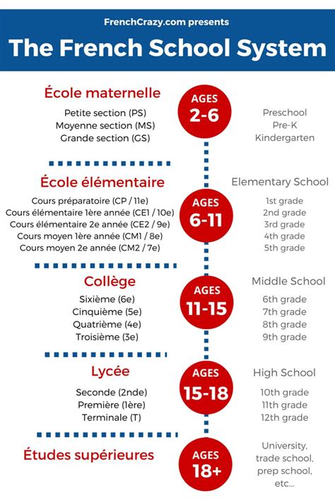C (good, with some errors). Educational infographic : School in France- nice visual ...