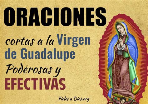 Oraciones Cortas A La Virgen De Guadalupe Poderosas Y Efectivas