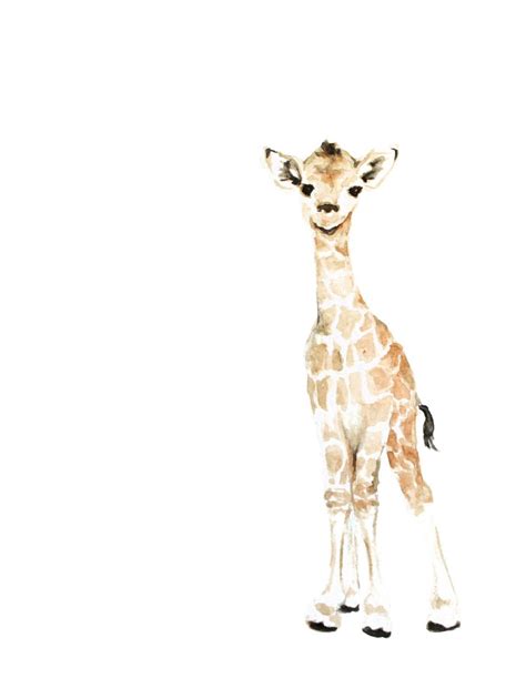 Baby Giraffe Watercolor Print Safari Animal Painting Baby Giraffe