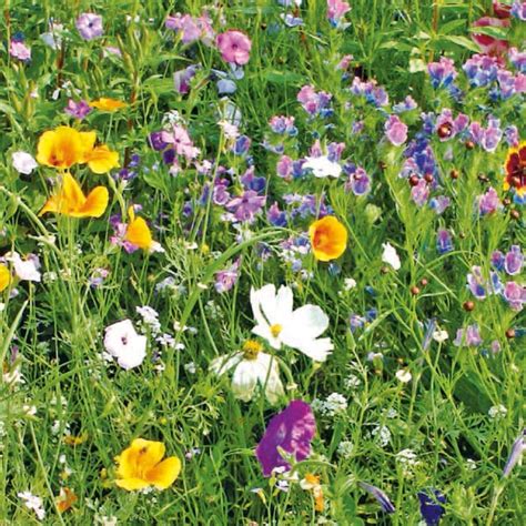 Christmas | christmas gift ideas & presents. Christmas Stocking Filler Ideas - Gifts for Gardeners