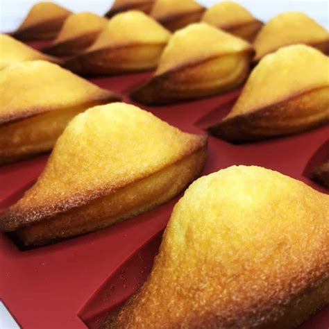 French Madeleines Recipe Baking Like A Chef