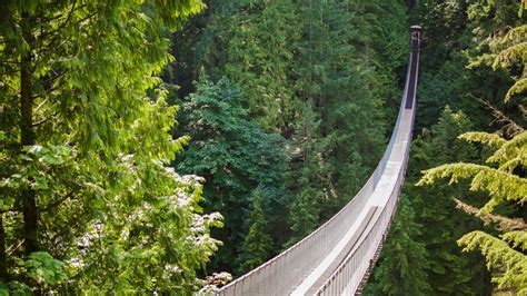 A Day Trip To Capilano Suspension Bridge Park In Vancouver Lez See