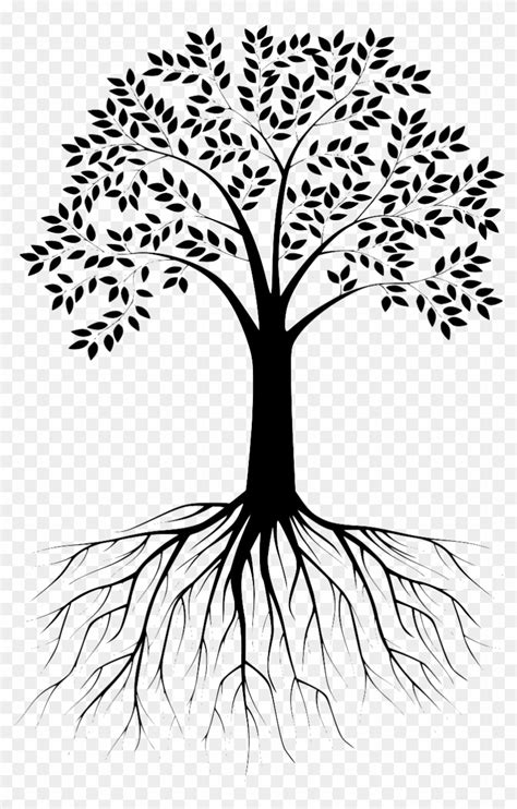 Roots Tree With Roots Silhouette Free Transparent Png Clipart