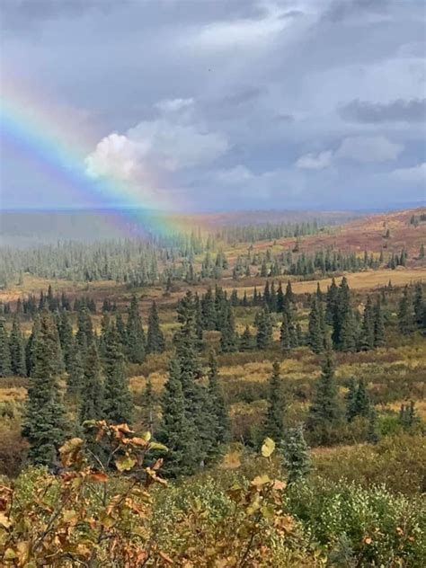 Maybe you would like to learn more about one of these? Bear Hunting | Arctic North Guides | Alaska's Premier Hunt ...