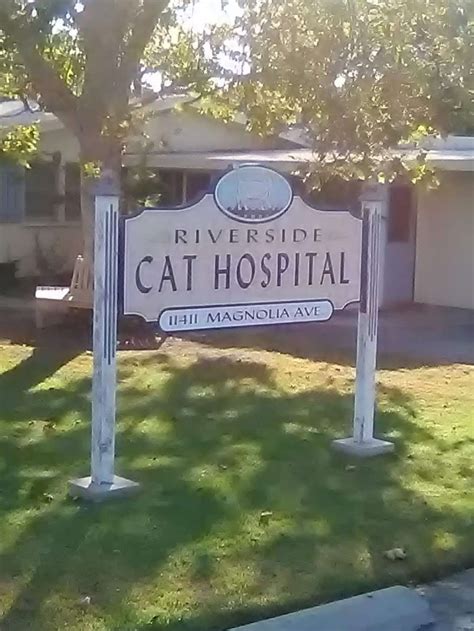 Riverside animal hospital in riverside, ca is a welcoming animal hospital providing high quality the professional and courteous staff at riverside animal hospital seeks to provide the best possible. Riverside Cat Hospital, 11411 Magnolia Ave, Riverside, CA ...