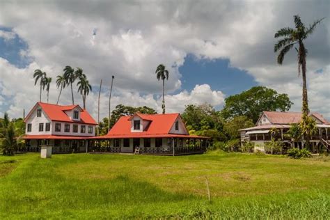 Suriname Reizen Voorbeelden Van Onze Lokale Reisexpert