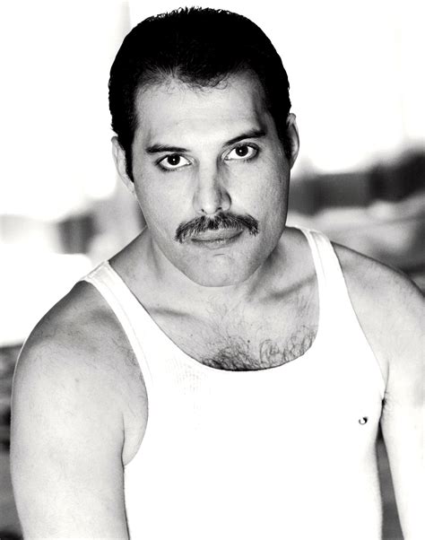Freddie mercury, who majored in stardom while giving new meaning to the word showmanship, left a legacy of songs, which will never lose freddie mercury would have been 70 this september and as part of the celebrations a mercury phoenix trust produced fan party will be held in his honour near. Freddie Mercury (mit Bildern) | Queen freddie mercury ...