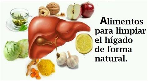 Los 10 Mejores Alimentos Para Limpiar El Hígado Graso Nutricion