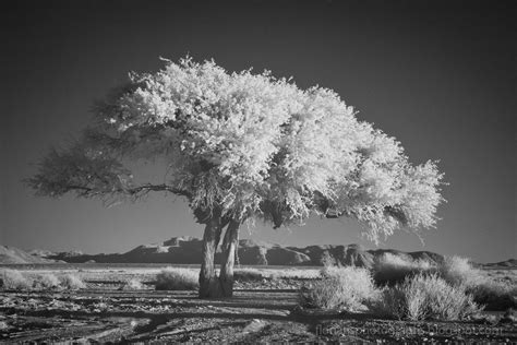 Florians Photographs Infrared Photography