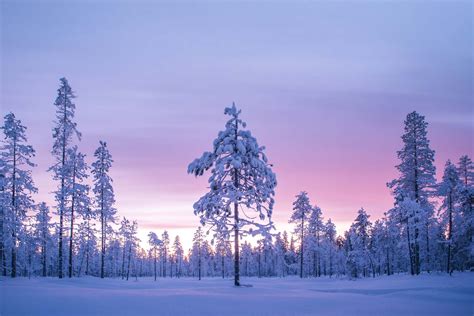 Lapland Winter Landscapes & Northern Lights Photography Holiday ...