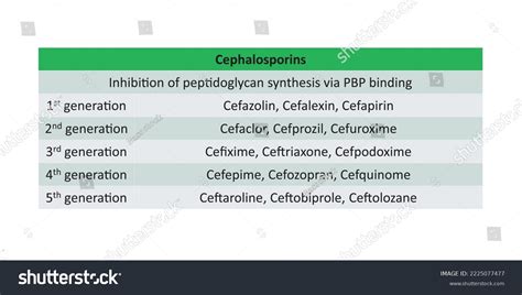 Table Showing Classification Cephalosporin Antibiotics By 库存矢量图（免版税
