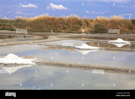 French Sea Salt In Guerande Salt Marshes Britanny Near Le Croisic