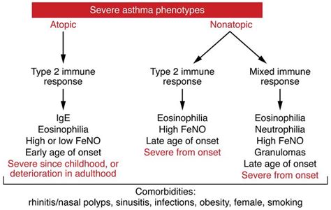Jci Current Concepts Of Severe Asthma