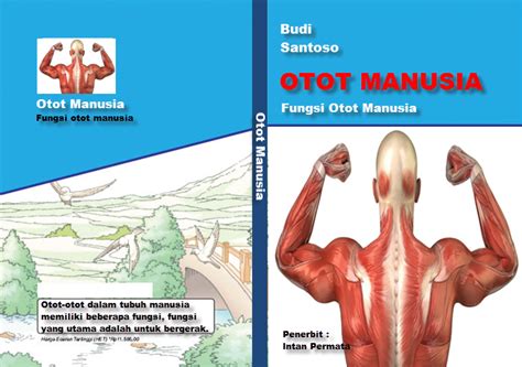 Ide Pokok Teks Otot Manusia Belajar Ujian Sd