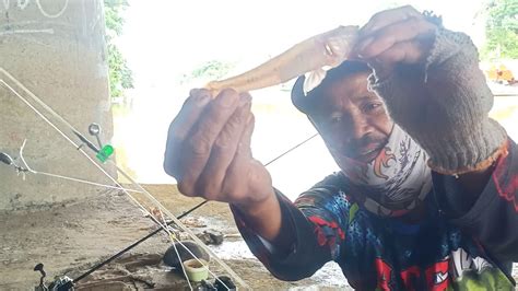 Mancing Di Kolong Jembatan Pemalang Misteri Youtube