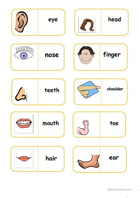 Parts if the face (easy). parts of body domino worksheet - Free ESL printable ...