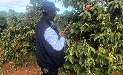 Businessman chris kirubi is dead. Chris Kirubi: This is what I have learned from farming