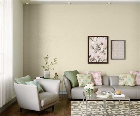 Try Pale Ivory House Paint Colour Shades For Walls Asian