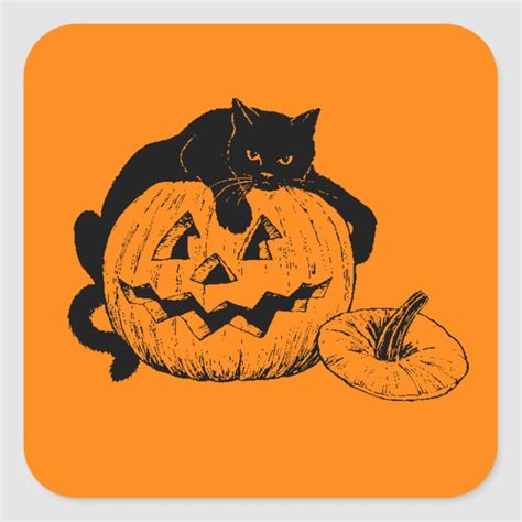 Black Cat Resting On Top Of A Carved Pumpkin Square Sticker Zazzle