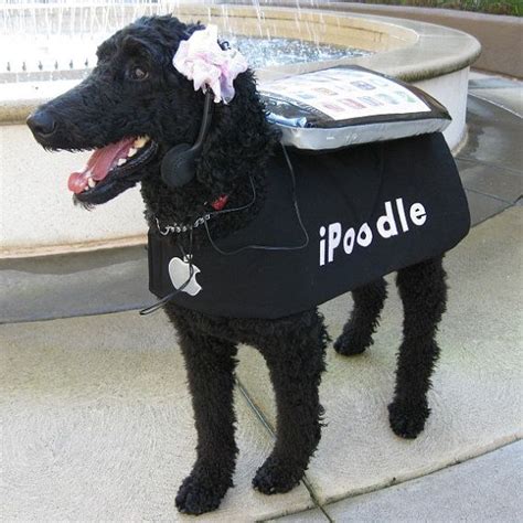 Items Similar To Ipoodle Custom Dog Costume On Etsy Poodle Dog