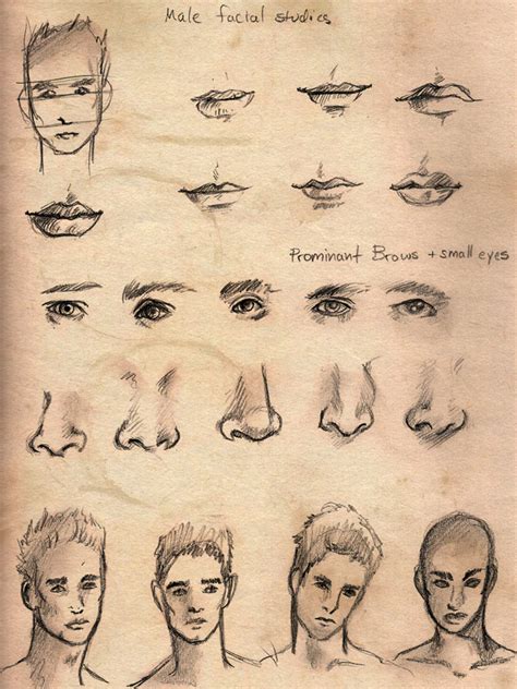 Male Face Study By Drivenlikethesnow On Deviantart