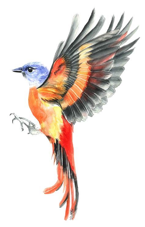 Download Painting Bird Watercolor Royalty Free Stock Illustration
