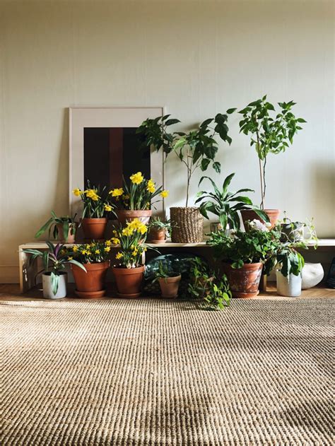 Fejka pianta artificiale con vaso. Piante da interno con fiori | Foto 1 | LivingCorriere