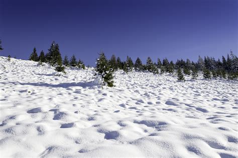 Free Images Landscape Tree Nature Forest Outdoor Rock Snow