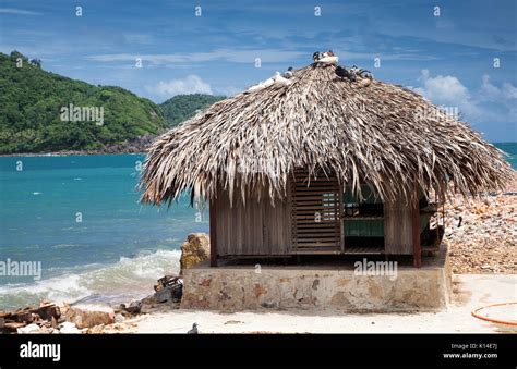 Tropical Island Huts