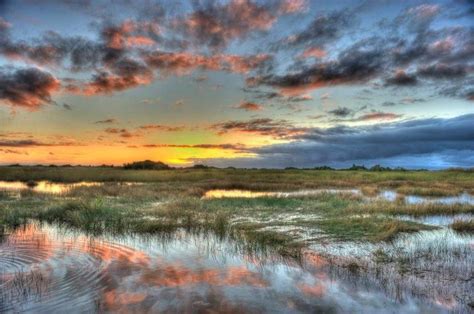 Everglades Sunset River Of Grass Everglades Florida Everglades