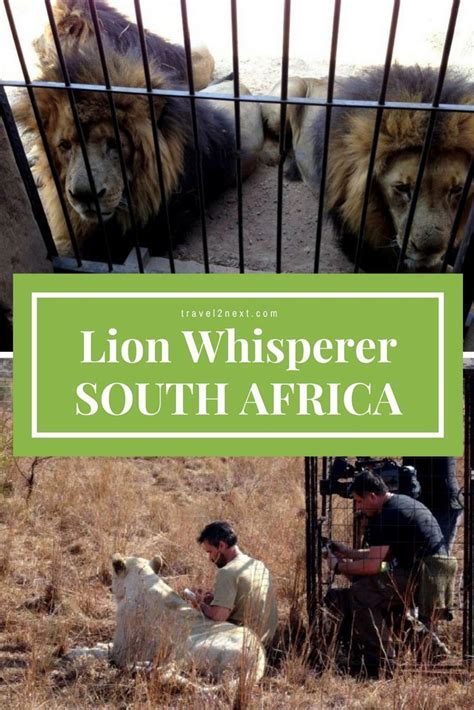 The Lion Whisperer South Africa Travel Africa Travel Guide Africa