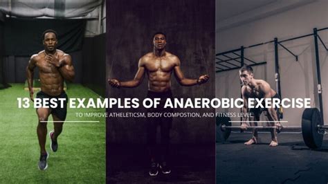 13 Best Examples Of Anaerobic Exercise The Fitness Phantom