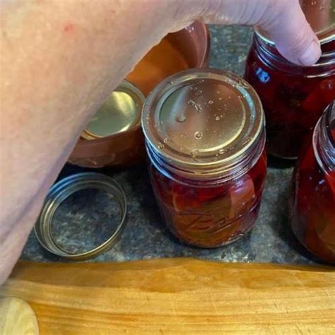 Canning Beets Gently Sustainable
