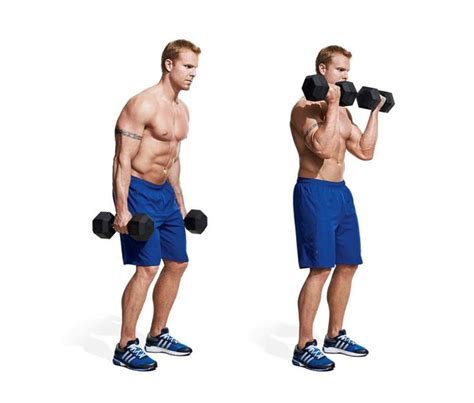 The 30 Best Dumbbell Exercises Of All Time Forearm Workout Good Arm