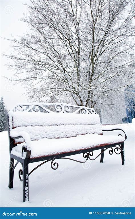 Closeup Of A Bench Covered With Snow Stock Photo Image Of Snowy Park