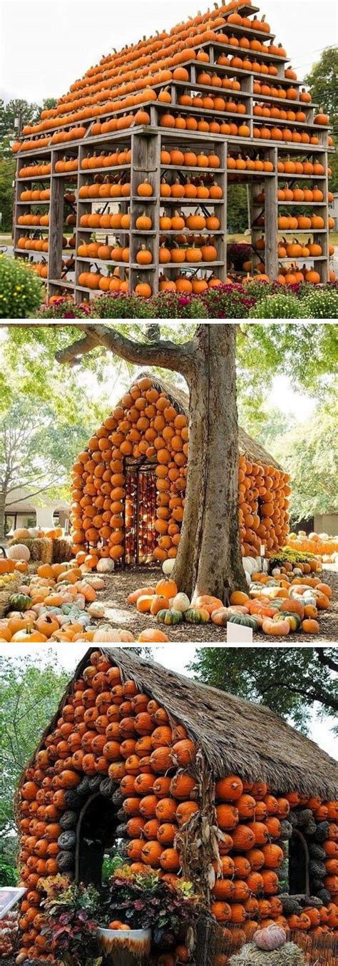 18 Creative Fall Harvest Display Ideas And Designs For 2021 Fall Bulb
